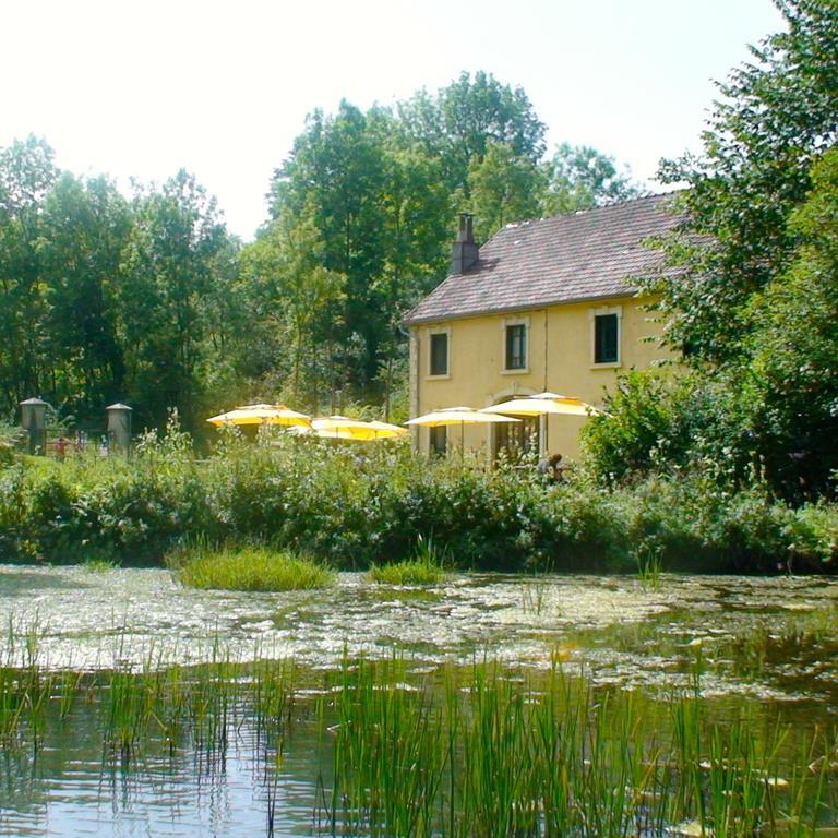 Au Moulin Des Fees - Maison D'Hotes Cascades Du Herisson Bonlieu Exteriér fotografie