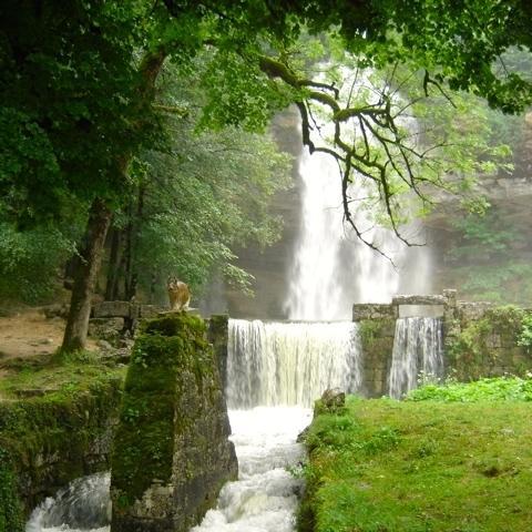 Au Moulin Des Fees - Maison D'Hotes Cascades Du Herisson Bonlieu Exteriér fotografie